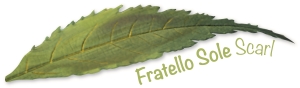 fratellosole
